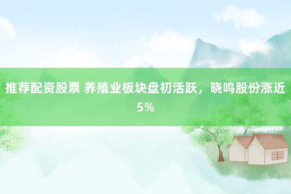 推荐配资股票 养殖业板块盘初活跃，晓鸣股份涨近5%