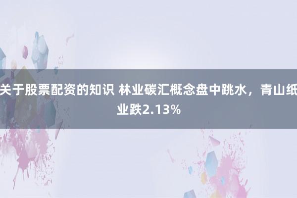 关于股票配资的知识 林业碳汇概念盘中跳水，青山纸业跌2.13%