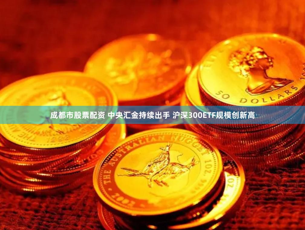 成都市股票配资 中央汇金持续出手 沪深300ETF规模创新高