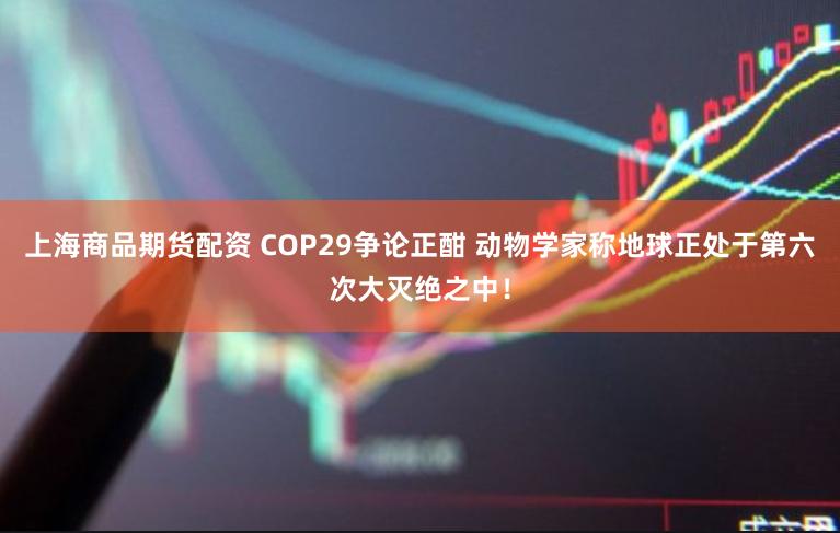 上海商品期货配资 COP29争论正酣 动物学家称地球正处于第六次大灭绝之中！